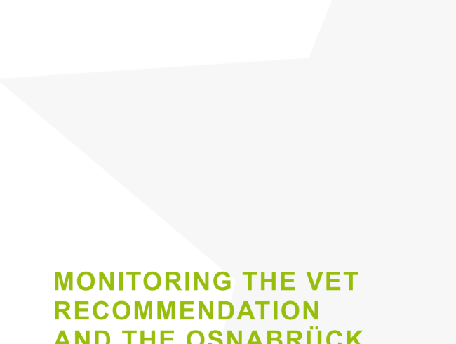 Monitoring the VET recommendation and the Osnabrück declaration