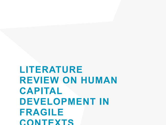  Literature Review on Human Capital Development in Fragile Contexts