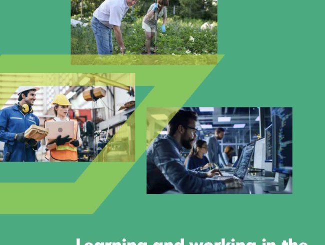 Learning and working in the EU neighbouring countries