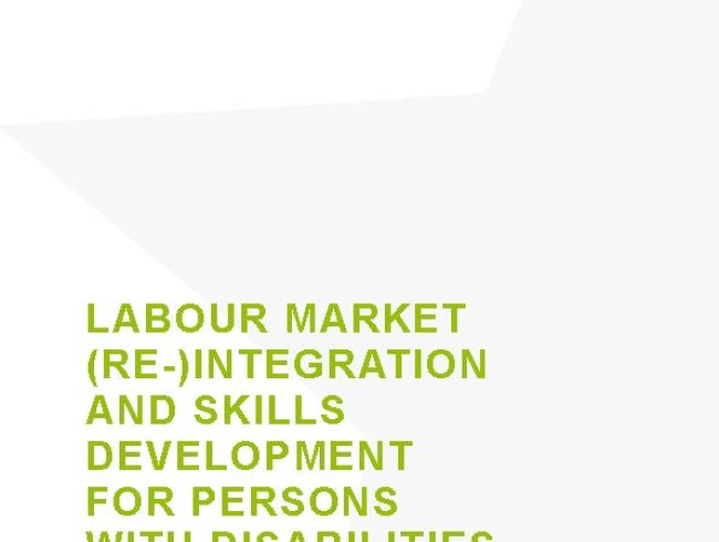 Labour market (re-) integration and skills development for persons with disabilities - Serbia