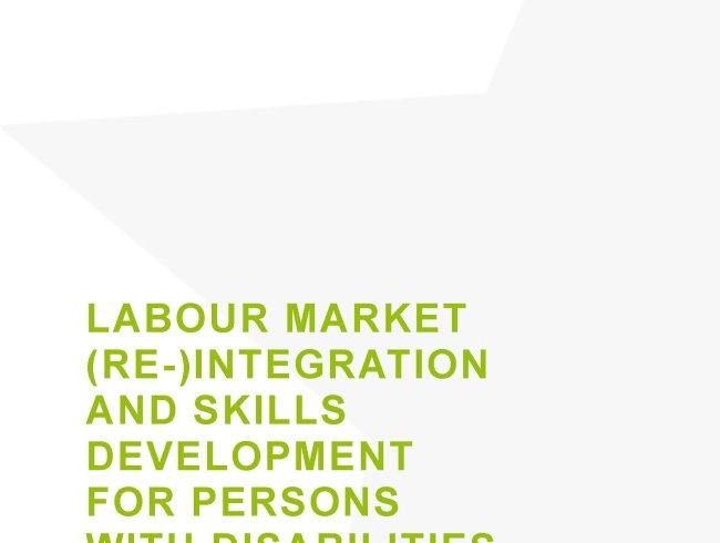 Labour market (re-) integration and skills development for persons with disabilities - Türkiye