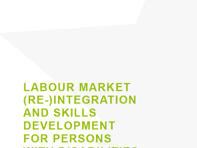  Labour market (re-)integration and skills development for persons with disabilities – Albania