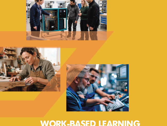 Work-based learning practices in the context of active labour market policies in the western balkans