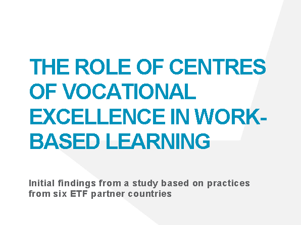 The role of centres of vocational excellence in work-based learning