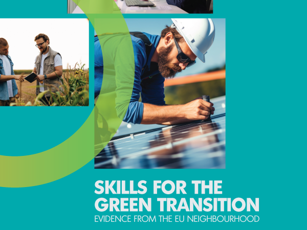 Skills for the green transition