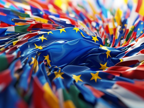 Technical workshop "Feasibility study on language training courses"