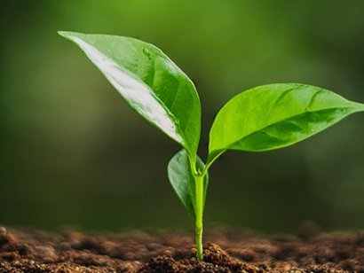 Green Skills Awards 2026