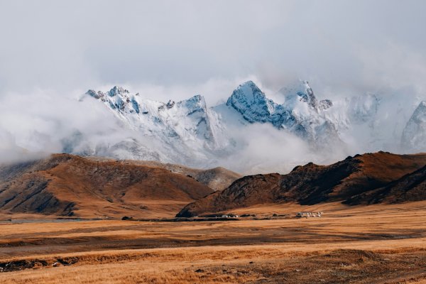 Landscape image of grassy plane in foreground with snowy mountain peaks in background