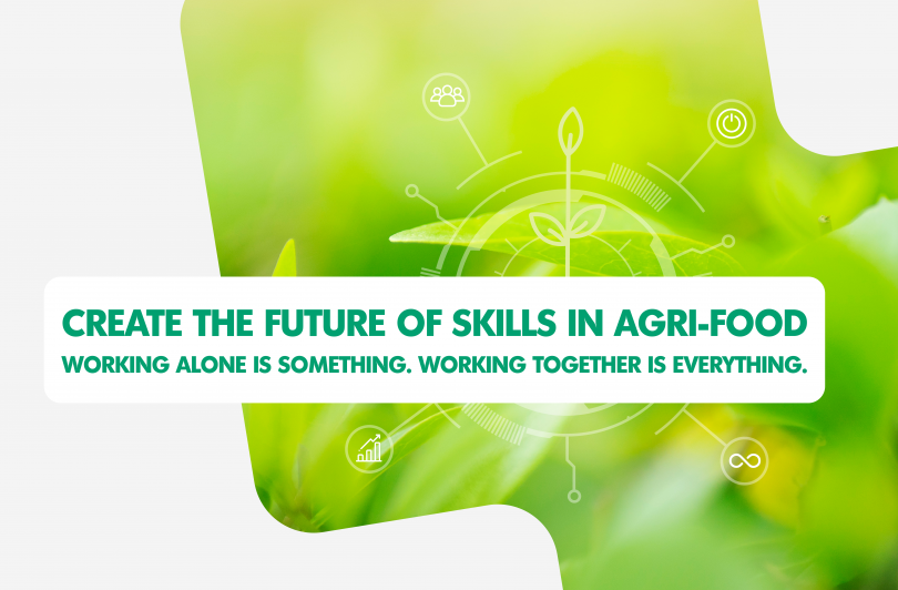 Create the future of skill in agri-food