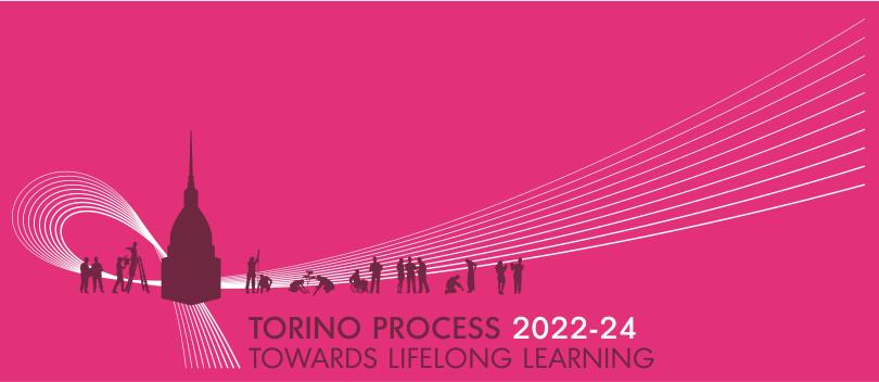 Torino Process 2022-24