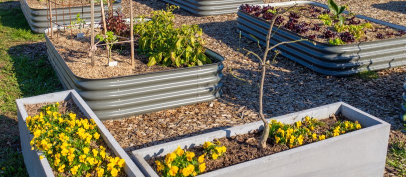 Image of an urban garden