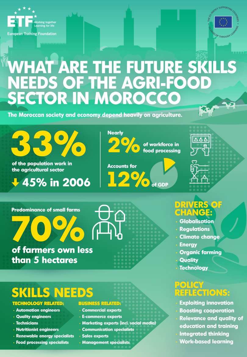 What are the future skills needs of the agri-food sector in Morocco