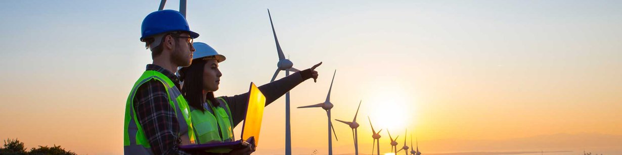 How important are education and skills for the green and digital transitions?