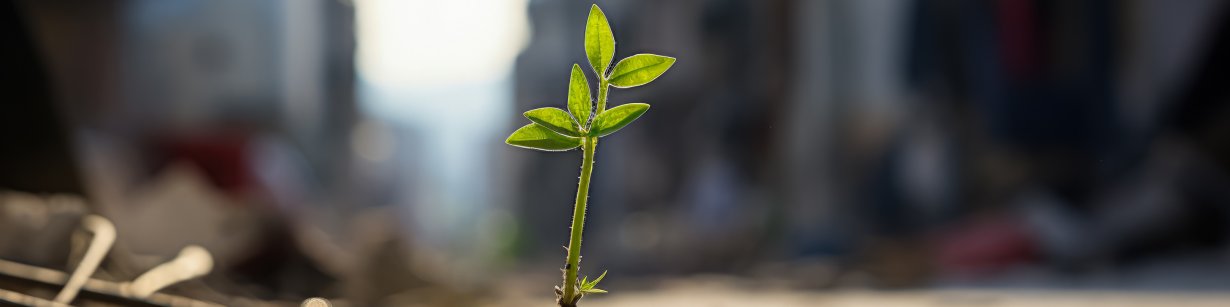 Adult learning key pillar for development in Poltava region, Ukraine 