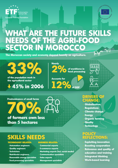 What are the future skills needs of the agri-food sector in Morocco